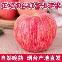 自家果园现摘现发爆甜红苹果应季新鲜水果烟台苹果红富士礼盒