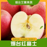 爆甜红苹果应季新鲜水果自家果园现摘现发山东烟台苹果富士苹果