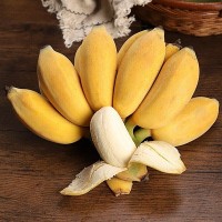 漳州苹果蕉 当季土楼特产新鲜现摘孕妇水果整箱装香甜小香蕉批发