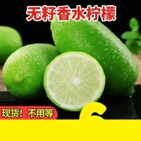 无籽香水柠檬青柠檬精选一级果6斤广东新鲜水果柠檬