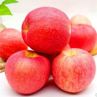 红富士苹果1斤 现货脆甜苹果新鲜水果