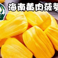 海南黄心菠萝蜜新鲜水果包邮一整个黄肉波罗蜜热带当季批发25斤